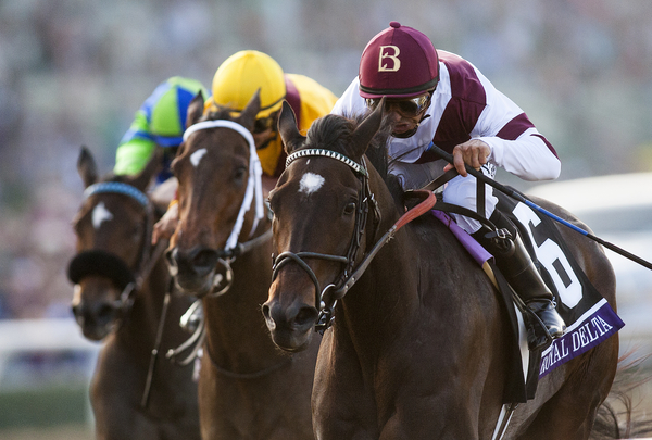 Bet on Uganda Horse Racing Competitions Online horse racing betting online Uganda